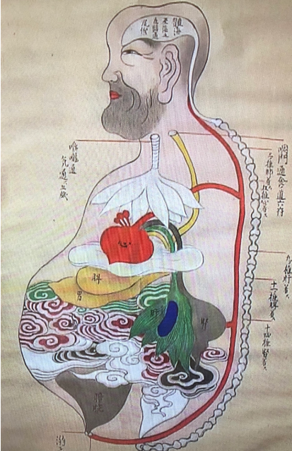 从治病到治心兰学为何能在闭关锁国的日本杀出一条血路