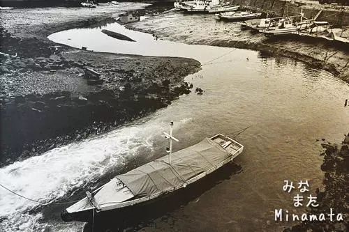 水俣病事件日本排废水造成的环境污染公害病