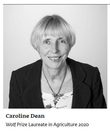 最新沃尔夫奖颁出crispr魔角石墨烯几何拓扑先驱者获奖