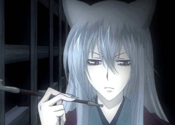 御狐神双炽,虽然是忠犬,但其实他本人是标准的腹黑男,每次当凛凛蝶要