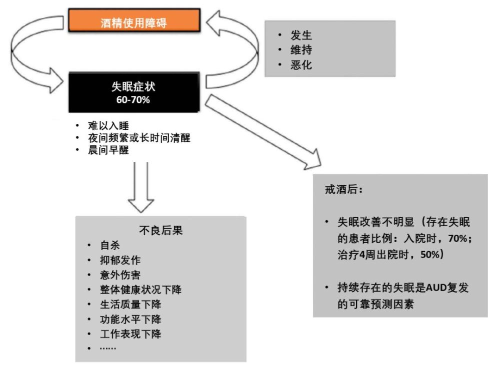 失眠|酒精使用障碍患者的失眠：管理要点及流程图｜临床必备