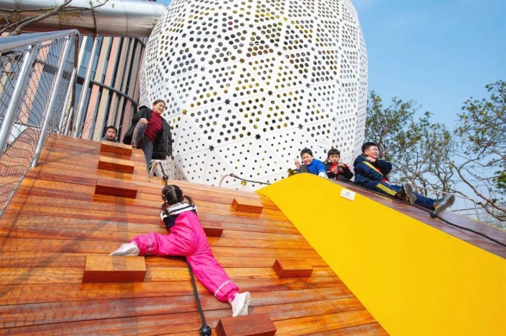 奇趣蛋壳公园在波浪形草地上,几只灰喜鹊蹦蹦跳跳着觅食.