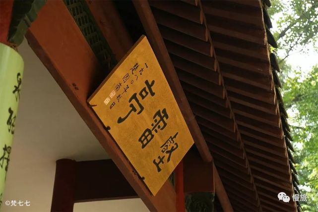 「慢旅」春淙亭,壑雷亭:穿唐越宋一楹联,动静皆宜两座亭|武林探幽