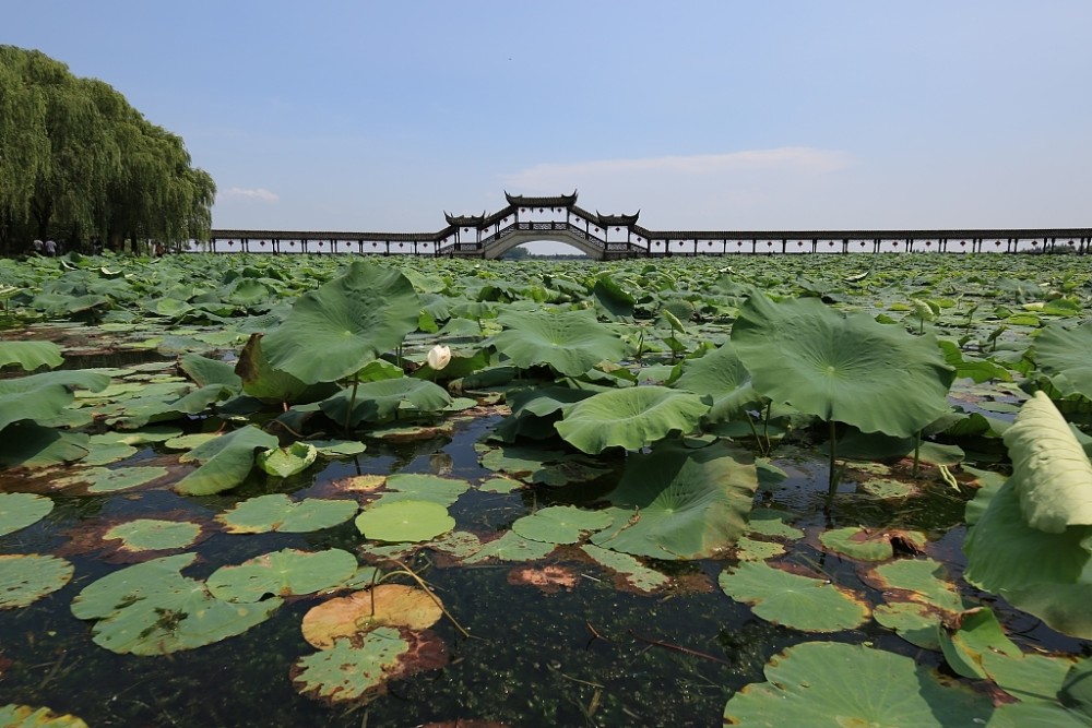 昆山gdp多少_江苏可能被上海合并的城市：GDP破4000亿元,15年蝉联百强县之首(2)