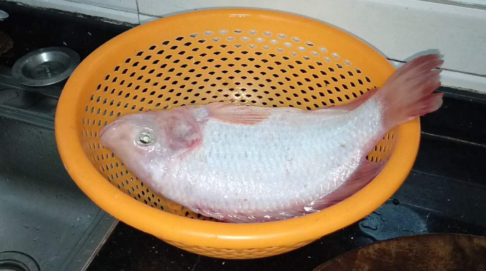 第一步:准备一条花雕鱼,我这一条花了23元,不到两斤.