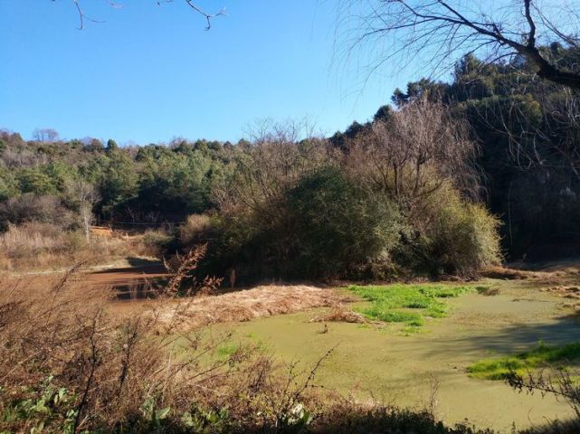 这个叫做"三十亩村"的地方,是离双龙乡野鸭湖不远的村庄,感觉它是一个