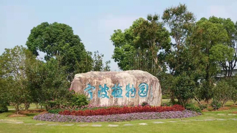 植物园的规模还是非常大的,据说跟宁波动物园不相上下,但是1号大门