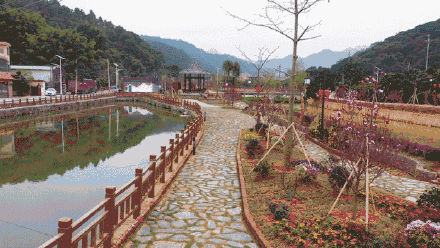 从化锦三村生态旅游区图片