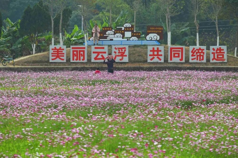 是心动的感觉安塘这片花海你可曾去过