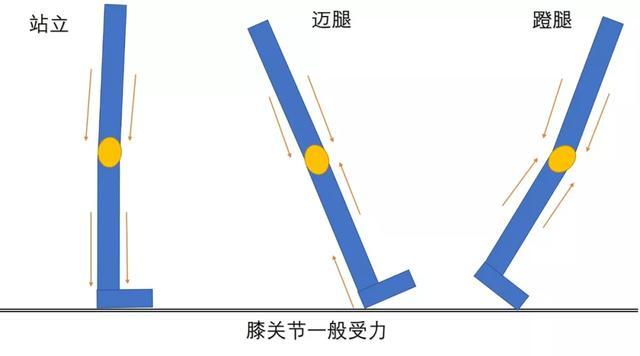 膝盖疼痛的根本原因与解决方法