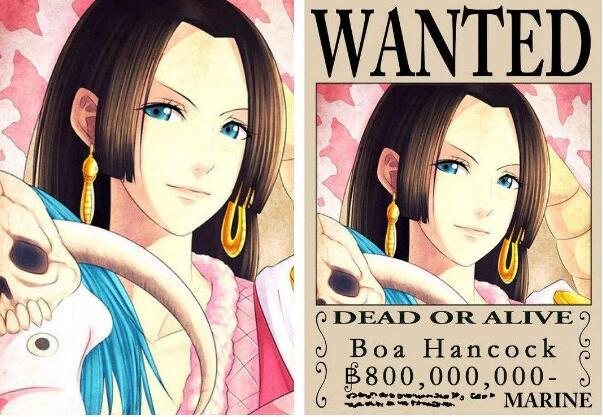 狂热行动出现女帝的悬赏令从8000万涨到8亿了