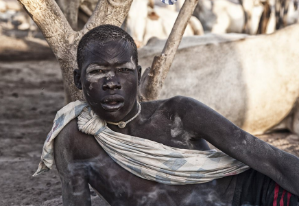 非洲蒙达里部落以牛为货币,直接从牛的乳房中喝牛奶,用牛尿洗头