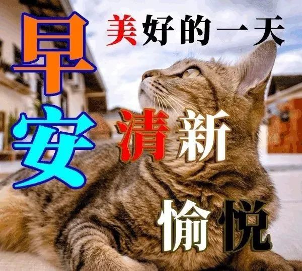 小年早上好温馨问候祝福语图片 早安问候动漫表情图片大全