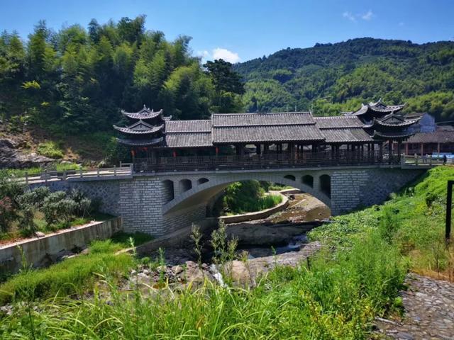 中国白茶在福鼎福鼎好茶在磻溪三点告诉你磻溪茶的好上吾雨茶课堂
