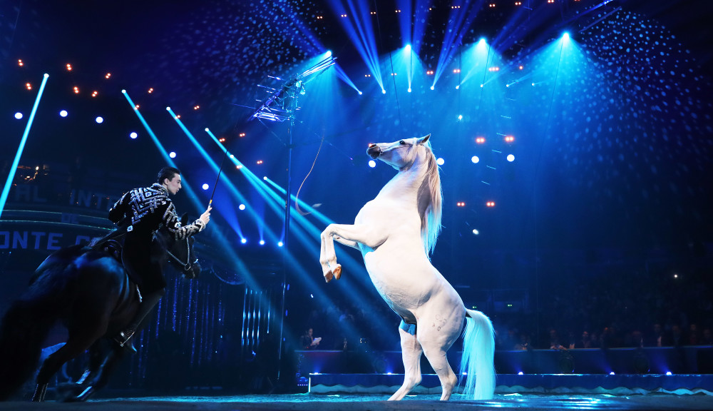 蒙特卡洛国际马戏节开幕_腾讯新闻