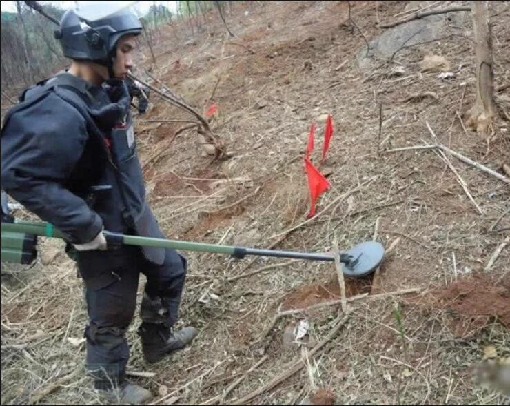 根据数据显示,八里河村200 余名村民中,有100 余人被地雷炸伤,11 人被