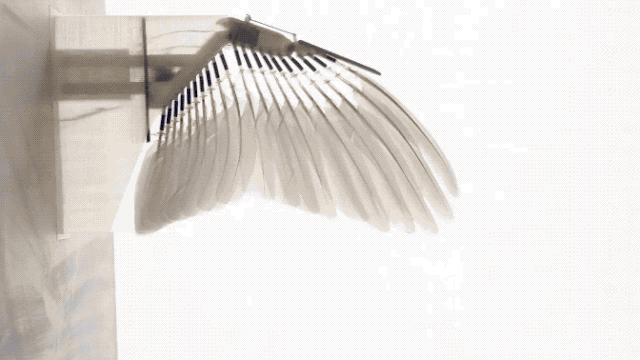 半鸟半机!斯坦福打造鸽子机器人,原来飞行的秘密藏在羽毛里