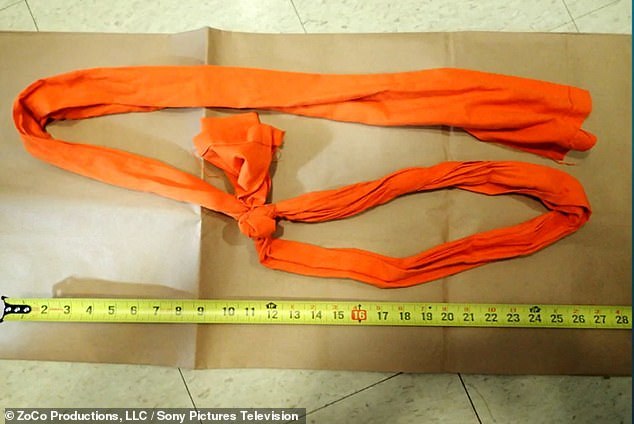 公开的爱泼斯坦上吊使用的"绳索"