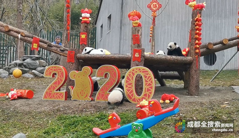 熊猫宝宝贺新春