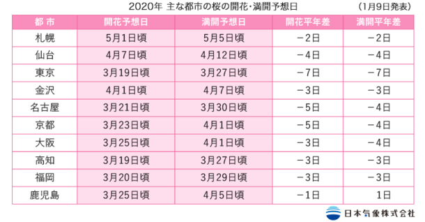 暖冬或导致樱花季提前 年日本赏樱花期和鉴赏地攻略 百观网 百姓观察网