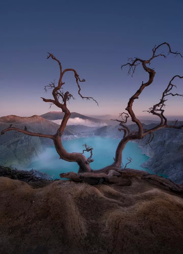 2019米拍摄影奖精选