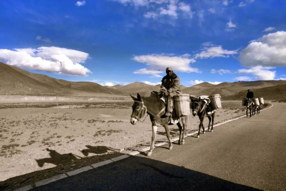 永宁 川滇结合部茶马古道重镇