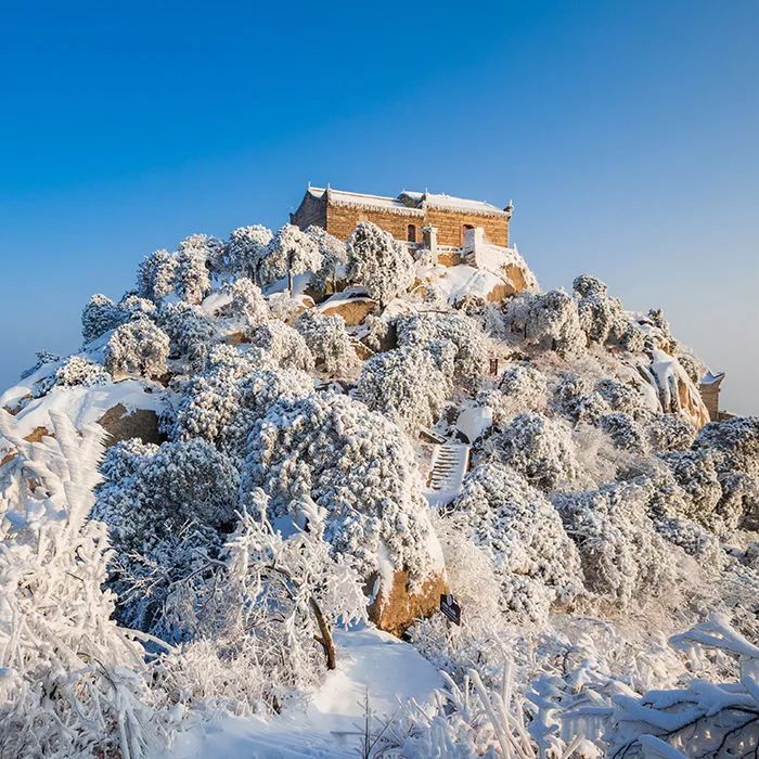 金兰山最新雪景图美呆