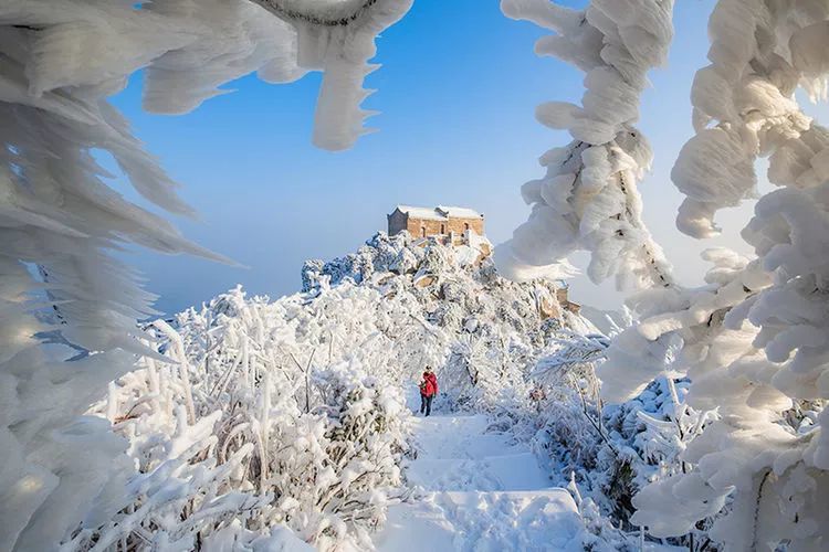金兰山最新雪景图美呆