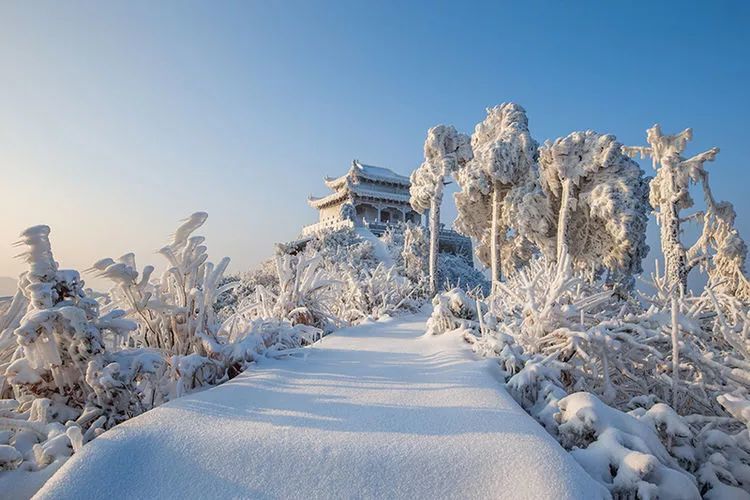 金兰山最新雪景图美呆