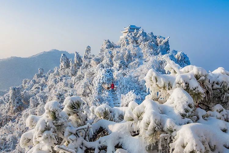 金兰山最新雪景图美呆