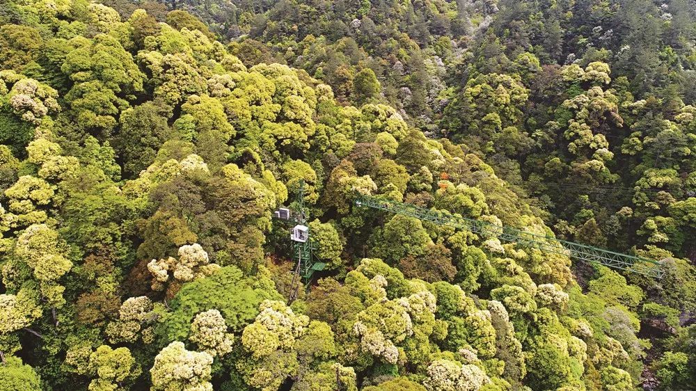 全球稀有,长三角唯一!揭开钱江源国家公园的神秘面纱