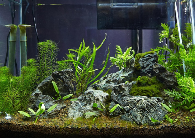 腾讯内容开放平台