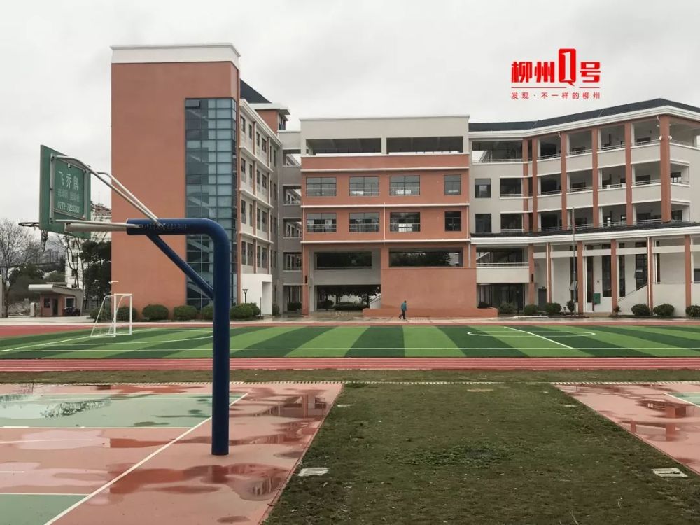 柳州这所小学招生了3个班共录取133人6月学区划分后还将扩大招生