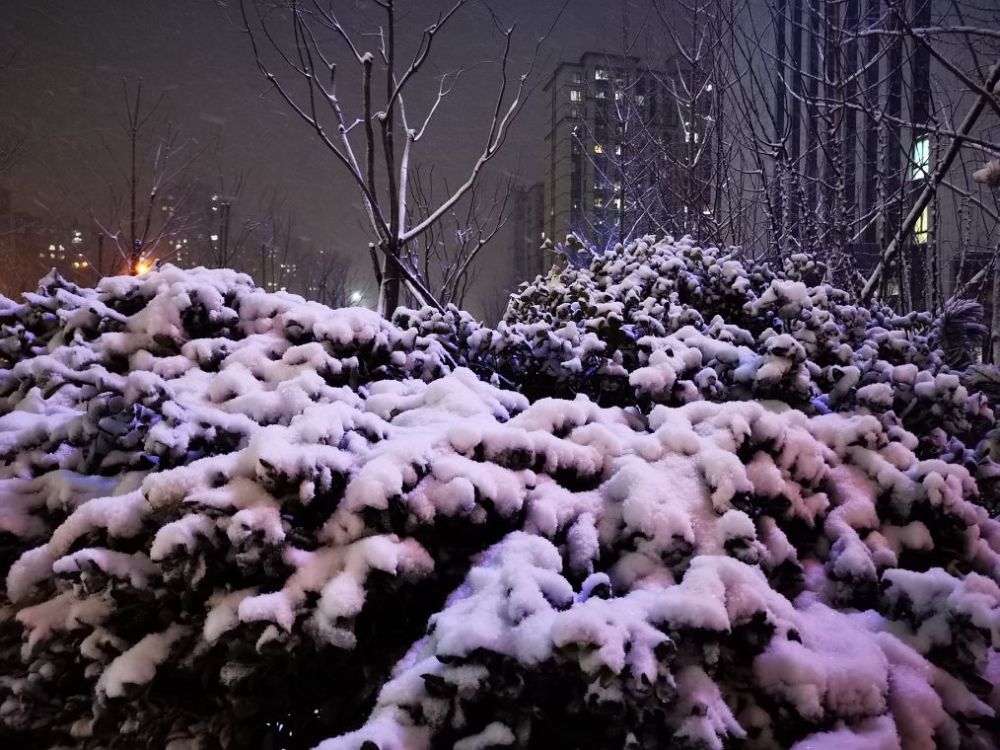 全国高等院校排名_2017全国最好的大学排名发布,福建高校TOP5的竟然是…