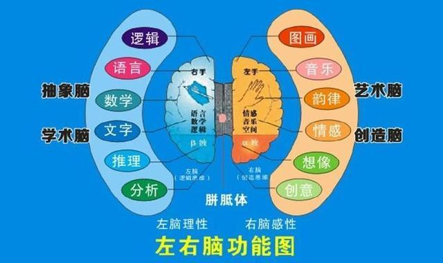 斯坦福大学这5个方法能促进大脑发育让孩子一天比一天聪明