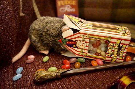 哈利波特罗恩带着宠物鼠斑斑进入霍格沃茨算是违反校规吗