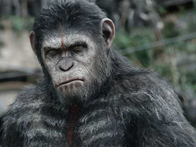 人类的祖先真的是猿类进化论存在3大缺陷至今科学无法解释