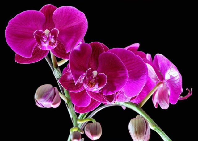 腾讯内容开放平台