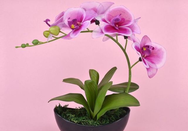 腾讯内容开放平台