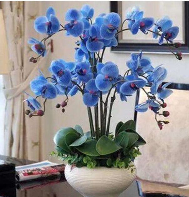 腾讯内容开放平台