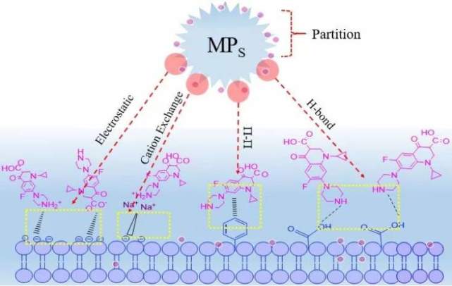 2019年,于飞另受邀针对微塑料与水环境中有机污染物和重金属的吸附