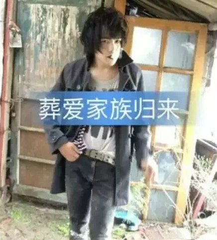 他是葬爱家族最后的王子有着一张天使面孔却偏偏喜欢非主流