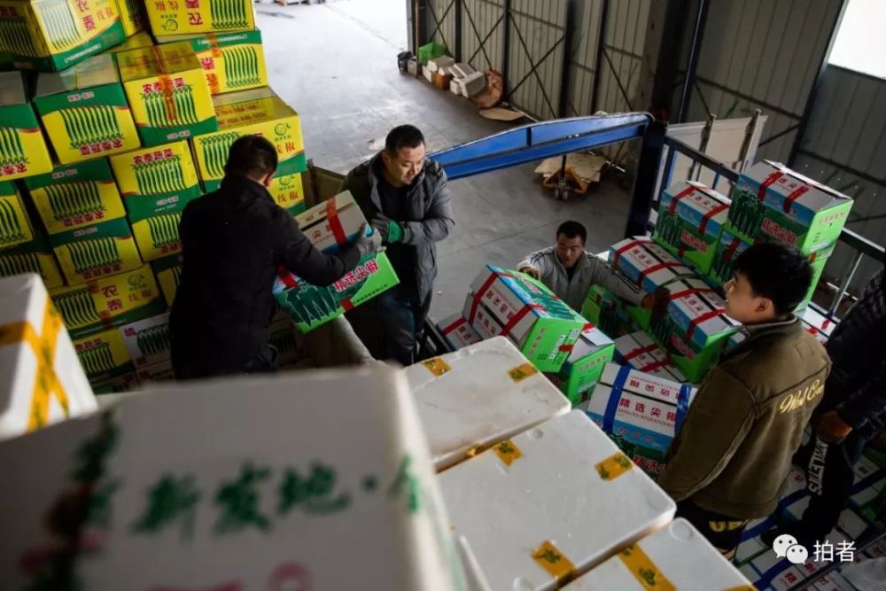 1月15日,山东省寿光市田马蔬菜瓜果批发市场,工人们正将收来的蔬菜