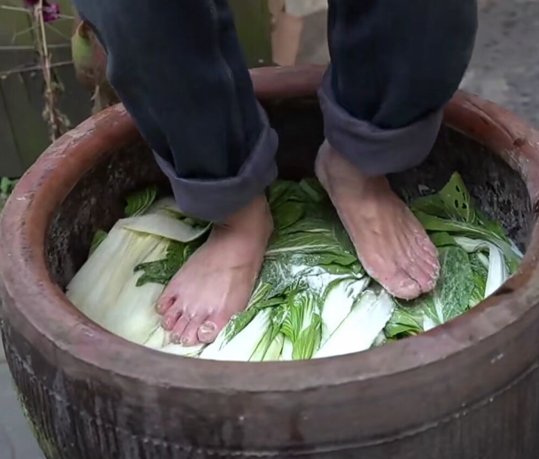 杭州有种腌菜农民大爷用脚踩据说脚越臭踩出来的菜越香