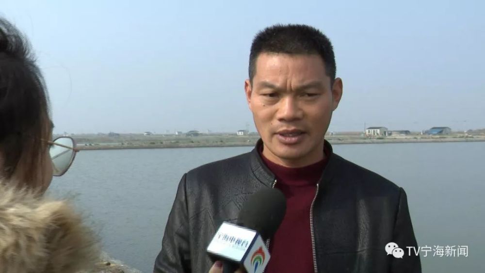 宁海人你的长街蛏子上线了赶紧来宠它