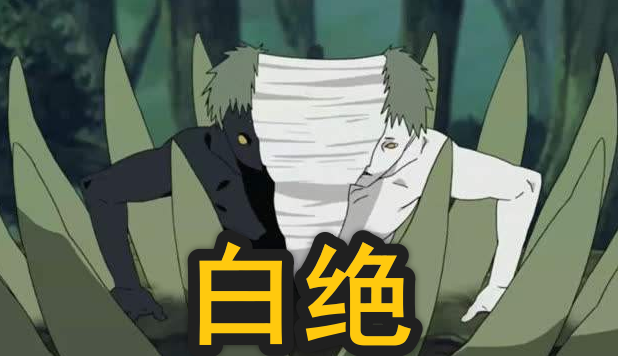 第三位就是白绝了,白绝是早些年无限月读人类坠落所的产物,也可以说