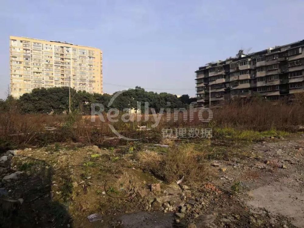 2020成都武侯区小学_千锤百炼着力打造教师育人能力——成都市武侯区亚(2)