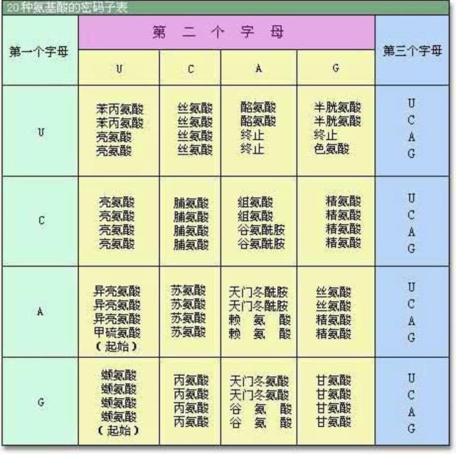 已知宇宙很大未知宇宙更大宇宙中其他生命在哪