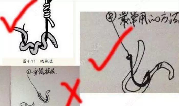 挂钩方法可以挂住蚯蚓尾部,利用蚯蚓尾部的蠕动诱鱼吃钩,并且容易入口