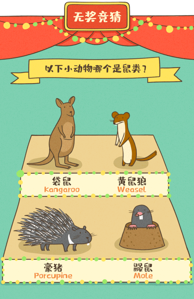 一图带你了解"精灵鼠"